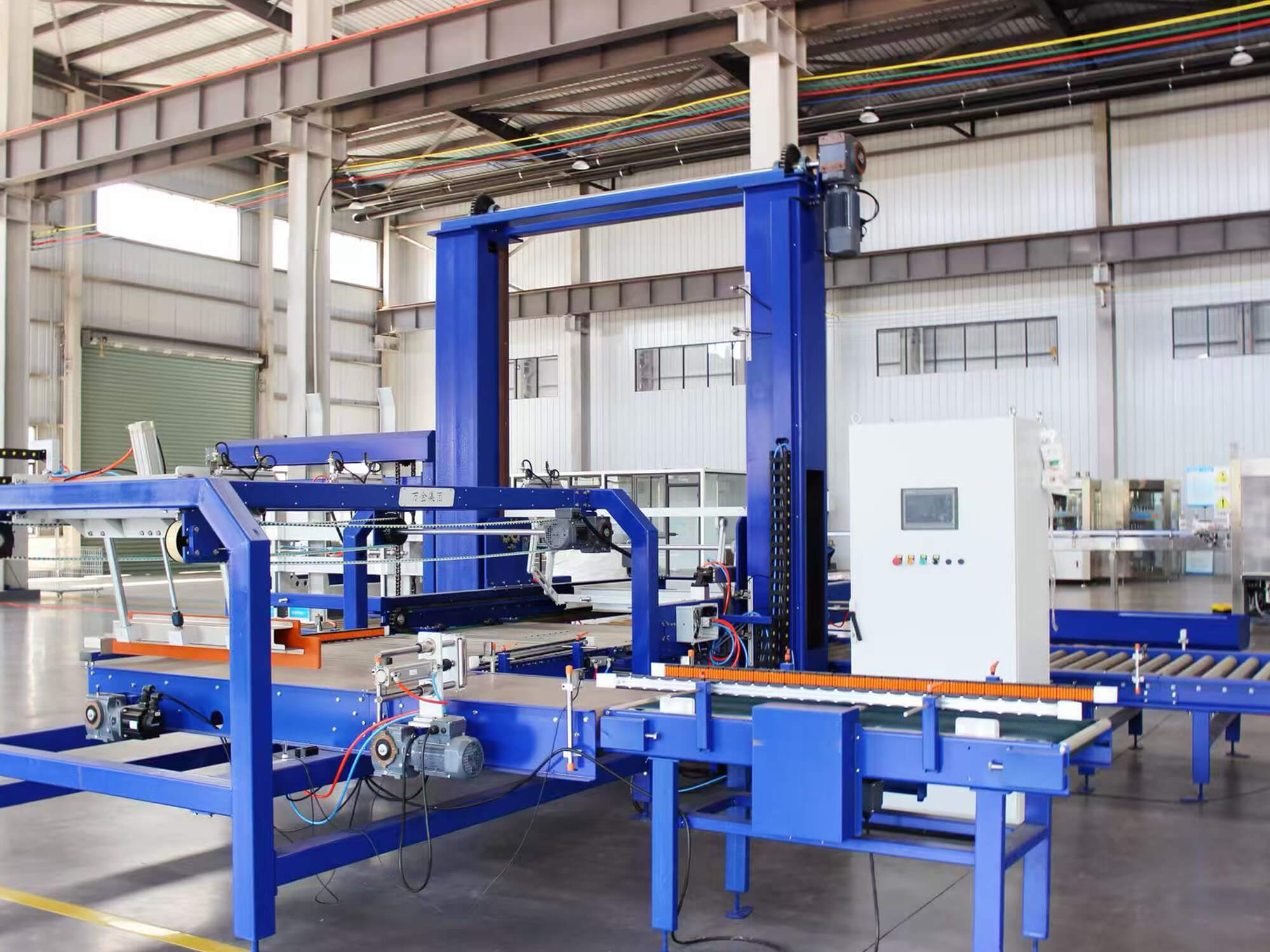 Palletizer Machine System - Image 4